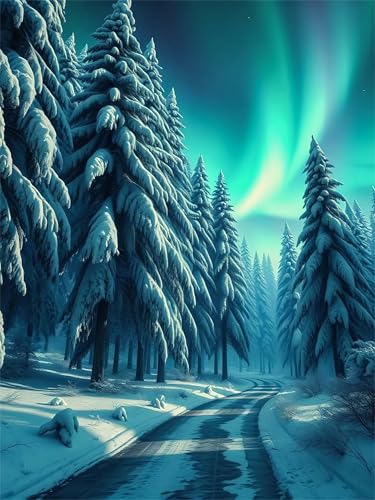 Puzzle 1200 Teile,Puzzles für Erwachsene,Winterwald Aurora - Puzzle für Erwachsene,Lernspiel Herausforderung Spielzeug,Kunsthandwerk für Heimdekoration Unterhaltungsspiel von Cekog