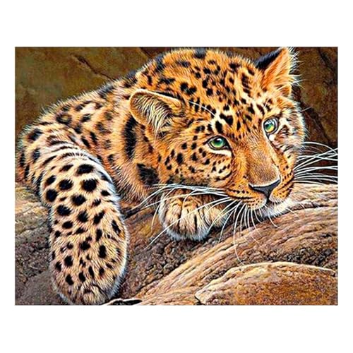 Puzzle 200 Teile,Puzzle für Erwachsene,Leopard Puzzles Lernspiel Herausforderung Spielzeug,Kunsthandwerk für Heimdekoration Unterhaltungsspiel - mit Rahmen von Cekog