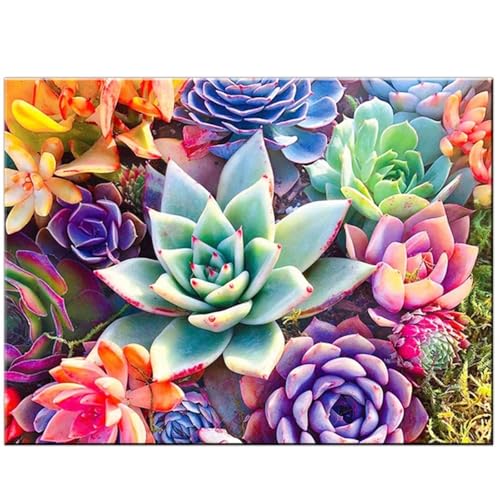 Puzzle 300 Teile,Puzzle für Erwachsene,Saftige Blumen Puzzles Lernspiel Herausforderung Spielzeug,Kunsthandwerk für Heimdekoration Unterhaltungsspiel - mit Rahmen Puzzle 300 Teile,Puzzle für Erwachsene,Saftige Blumen Puzzles Lernspiel Herausforderung Spielzeug,Kunsthandwerk für Heimdekoration Unterhaltungsspiel - mit Rahmen von Cekog
