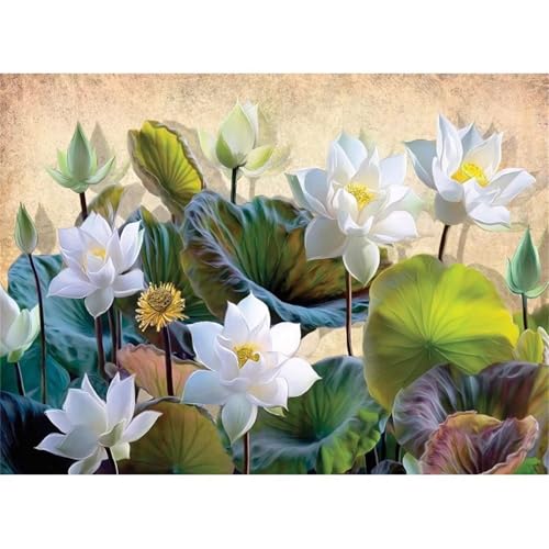 Puzzle 500 Teile,Puzzle für Erwachsene,Lotus Puzzles Lernspiel Herausforderung Spielzeug,Kunsthandwerk für Heimdekoration Unterhaltungsspiel - mit Rahmen Puzzle 500 Teile,Puzzle für Erwachsene,Lotus Puzzles Lernspiel Herausforderung Spielzeug,Kunsthandwerk für Heimdekoration Unterhaltungsspiel - mit Rahmen von Cekog