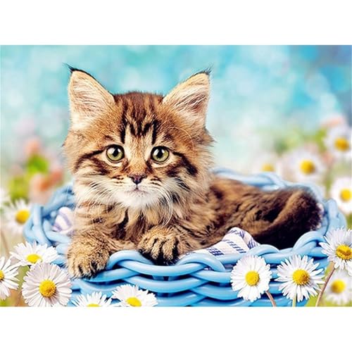 Puzzle 500 Teile,Puzzle für Erwachsene,Süße Katze Daisy Puzzles Lernspiel Herausforderung Spielzeug,Kunsthandwerk für Heimdekoration Unterhaltungsspiel - mit Rahmen Puzzle 500 Teile,Puzzle für Erwachsene,Süße Katze Daisy Puzzles Lernspiel Herausforderung Spielzeug,Kunsthandwerk für Heimdekoration Unterhaltungsspiel - mit Rahmen von Cekog