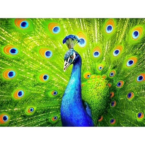 Puzzle 700 Teile,Puzzle für Erwachsene,Grüner Pfau Puzzles Lernspiel Herausforderung Spielzeug,Kunsthandwerk für Heimdekoration Unterhaltungsspiel - mit Rahmen von Cekog