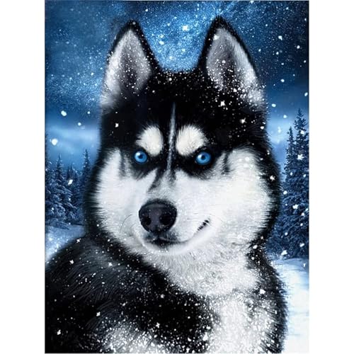 Puzzle 700 Teile,Puzzle für Erwachsene,Winterhund Puzzles Lernspiel Herausforderung Spielzeug,Kunsthandwerk für Heimdekoration Unterhaltungsspiel - mit Rahmen von Cekog