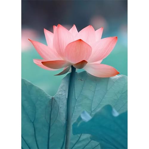 Rosa Lotus - Puzzles für Erwachsene,Puzzle 120 Teile, Puzzle 25x20 cm DIY - Puzzles für Heimdekoration, Familienpuzzle für Erwachsene und Kinder von Cekog
