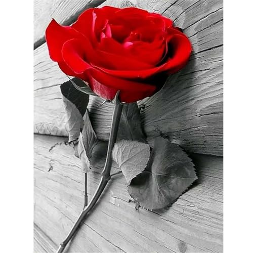 Rose - Puzzles für Erwachsene,Puzzle 300 Teile, Puzzle 40x28 cm DIY - Puzzles für Heimdekoration, Familienpuzzle für Erwachsene und Kinder von Cekog