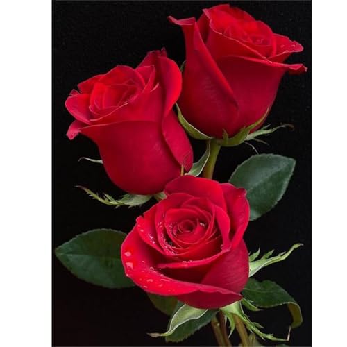 Rosenrote Blumen - Puzzles für Erwachsene,Puzzle 120 Teile, Puzzle 25x20 cm DIY - Puzzles für Heimdekoration, Familienpuzzle für Erwachsene und Kinder von Cekog