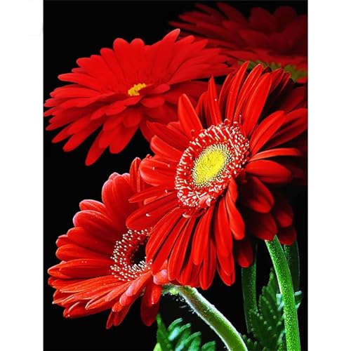 Rote Blumen - Puzzles für Erwachsene,Puzzle 500 Teile, Puzzle 38x52 cm DIY - Puzzles für Heimdekoration, Familienpuzzle für Erwachsene und Kinder Rote Blumen - Puzzles für Erwachsene,Puzzle 500 Teile, Puzzle 38x52 cm DIY - Puzzles für Heimdekoration, Familienpuzzle für Erwachsene und Kinder von Cekog