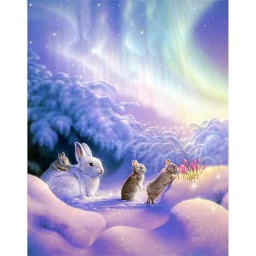 Schnee-Aurora-Hase - Puzzles für Erwachsene,Puzzle 300 Teile, Puzzle 40x28 cm DIY - Puzzles für Heimdekoration, Familienpuzzle für Erwachsene und Kinder Schnee-Aurora-Hase - Puzzles für Erwachsene,Puzzle 300 Teile, Puzzle 40x28 cm DIY - Puzzles für Heimdekoration, Familienpuzzle für Erwachsene und Kinder von Cekog