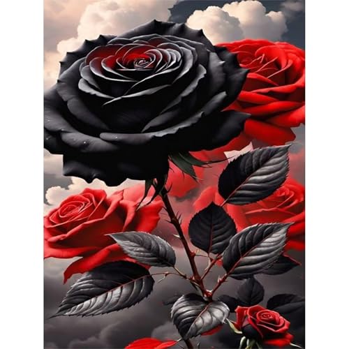 Schwarze Rote Rose - Puzzles für Erwachsene,Puzzle 500 Teile, Puzzle 38x52 cm DIY - Puzzles für Heimdekoration, Familienpuzzle für Erwachsene und Kinder Schwarze Rote Rose - Puzzles für Erwachsene,Puzzle 500 Teile, Puzzle 38x52 cm DIY - Puzzles für Heimdekoration, Familienpuzzle für Erwachsene und Kinder von Cekog