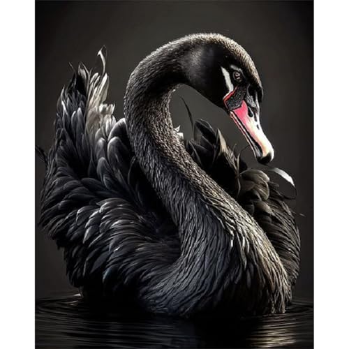 Schwarzer Schwan - Puzzles für Erwachsene,Puzzle 500 Teile, Puzzle 38x52 cm DIY - Puzzles für Heimdekoration, Familienpuzzle für Erwachsene und Kinder Schwarzer Schwan - Puzzles für Erwachsene,Puzzle 500 Teile, Puzzle 38x52 cm DIY - Puzzles für Heimdekoration, Familienpuzzle für Erwachsene und Kinder von Cekog