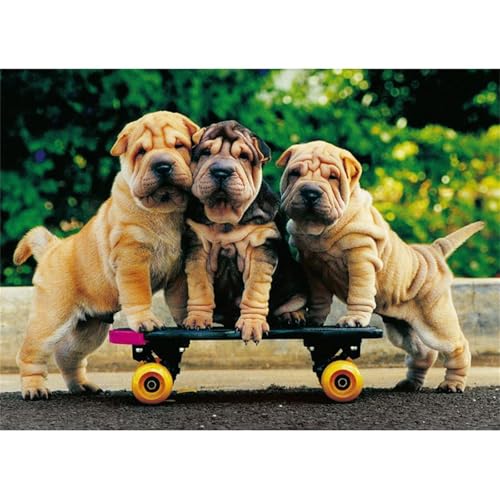 Skateboardender Hund - Puzzles für Erwachsene,Puzzle 700 Teile, Puzzle 38x52 cm DIY - Puzzles für Heimdekoration, Familienpuzzle für Erwachsene und Kinder von Cekog