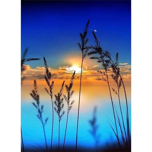 Sonnenaufgangslandschaft - Puzzles für Erwachsene,Puzzle 500 Teile, Puzzle 38x52 cm DIY - Puzzles für Heimdekoration, Familienpuzzle für Erwachsene und Kinder von Cekog