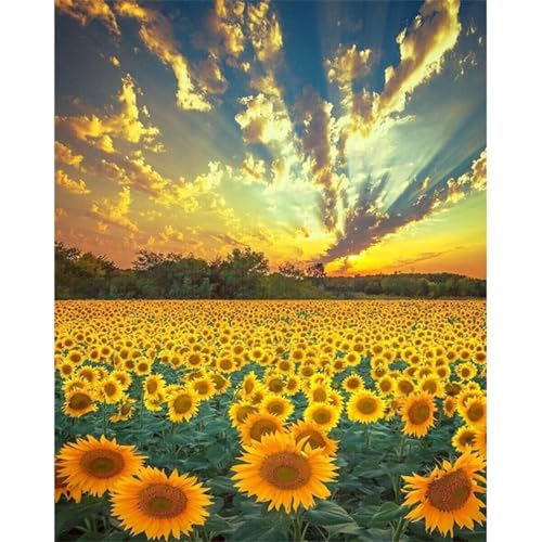 Sonnenblumenfeld - Puzzles für Erwachsene,Puzzle 300 Teile, Puzzle 40x28 cm DIY - Puzzles für Heimdekoration, Familienpuzzle für Erwachsene und Kinder von Cekog
