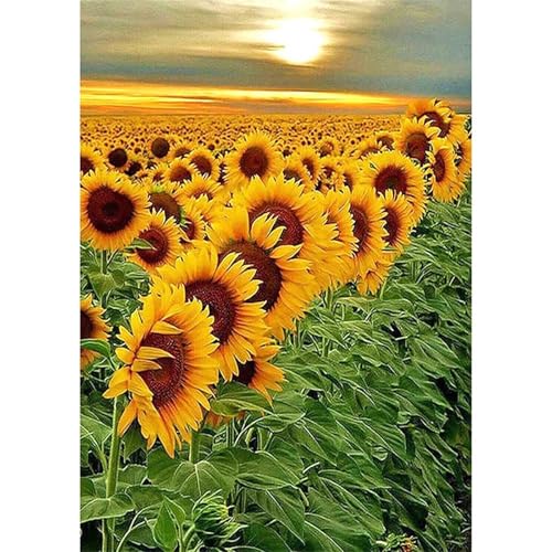 Sonnenuntergang Sonnenblumenfeld - Puzzles für Erwachsene,Puzzle 120 Teile, Puzzle 25x20 cm DIY - Puzzles für Heimdekoration, Familienpuzzle für Erwachsene und Kinder Sonnenuntergang Sonnenblumenfeld - Puzzles für Erwachsene,Puzzle 120 Teile, Puzzle 25x20 cm DIY - Puzzles für Heimdekoration, Familienpuzzle für Erwachsene und Kinder von Cekog