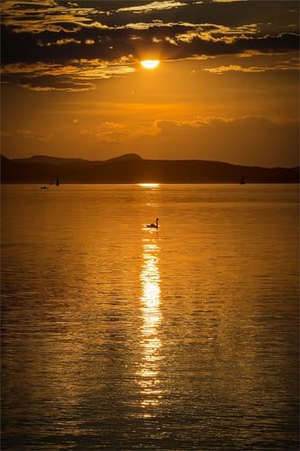 Sonnenuntergang am Plattensee - Puzzles für Erwachsene,Puzzle 1500 Teile, Puzzle 87x57cm, DIY-Puzzles für Heimdekoration, Familienpuzzle für Erwachsene und Kinder Sonnenuntergang am Plattensee - Puzzles für Erwachsene,Puzzle 1500 Teile, Puzzle 87x57cm, DIY-Puzzles für Heimdekoration, Familienpuzzle für Erwachsene und Kinder von Cekog