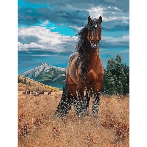 Steppentier Pferd - Puzzles für Erwachsene,Puzzle 700 Teile, Puzzle 38x52 cm DIY - Puzzles für Heimdekoration, Familienpuzzle für Erwachsene und Kinder von Cekog