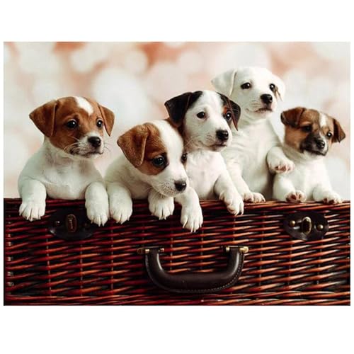 Süße Hunde - Puzzles für Erwachsene,Puzzle 700 Teile, Puzzle 38x52 cm DIY - Puzzles für Heimdekoration, Familienpuzzle für Erwachsene und Kinder Süße Hunde - Puzzles für Erwachsene,Puzzle 700 Teile, Puzzle 38x52 cm DIY - Puzzles für Heimdekoration, Familienpuzzle für Erwachsene und Kinder von Cekog