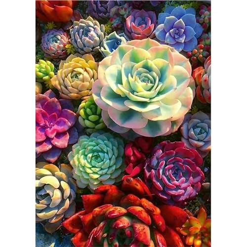 Sukkulenten Blumen - Puzzles für Erwachsene,Puzzle 1200 Teile, Puzzle 50x75 cm DIY - Puzzles für Heimdekoration, Familienpuzzle für Erwachsene und Kinder Sukkulenten Blumen - Puzzles für Erwachsene,Puzzle 1200 Teile, Puzzle 50x75 cm DIY - Puzzles für Heimdekoration, Familienpuzzle für Erwachsene und Kinder von Cekog