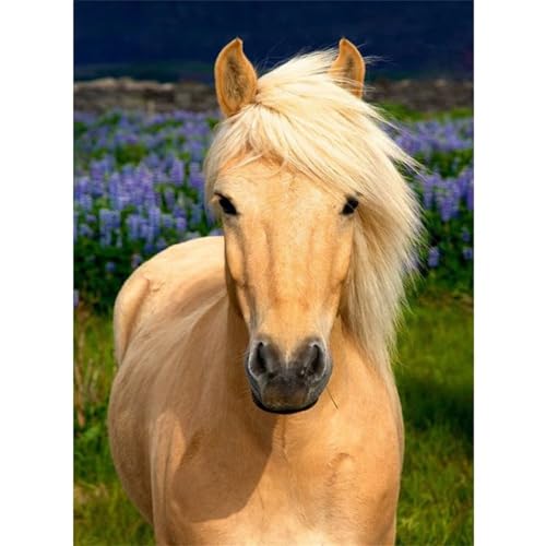 Tier Pferd - Puzzles für Erwachsene,Puzzle 1500 Teile, Puzzle 87x57 cm DIY - Puzzles für Heimdekoration, Familienpuzzle für Erwachsene und Kinder von Cekog