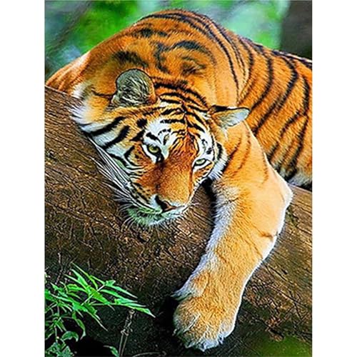Tiger - Puzzles für Erwachsene,Puzzle 500 Teile, Puzzle 38x52 cm DIY - Puzzles für Heimdekoration, Familienpuzzle für Erwachsene und Kinder von Cekog