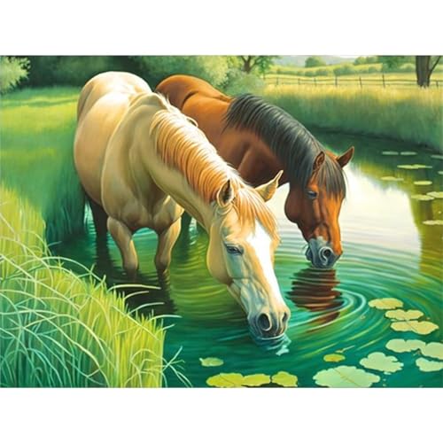 Trinkende Pferde - Puzzles für Erwachsene,Puzzle 300 Teile, Puzzle 40x28 cm DIY - Puzzles für Heimdekoration, Familienpuzzle für Erwachsene und Kinder von Cekog