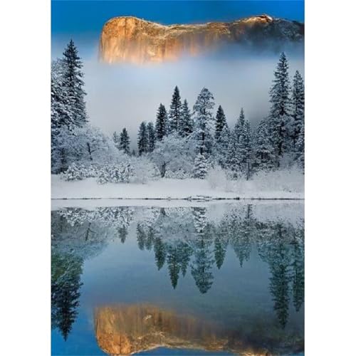 Verschneite Landschaft See - Puzzles für Erwachsene,Puzzle 500 Teile, Puzzle 38x52 cm DIY - Puzzles für Heimdekoration, Familienpuzzle für Erwachsene und Kinder von Cekog