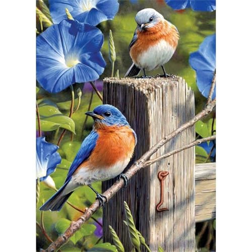 Vögel Petunien - Puzzles für Erwachsene,Puzzle 1000 Teile, Puzzle 50x75 cm DIY - Puzzles für Heimdekoration, Familienpuzzle für Erwachsene und Kinder Vögel Petunien - Puzzles für Erwachsene,Puzzle 1000 Teile, Puzzle 50x75 cm DIY - Puzzles für Heimdekoration, Familienpuzzle für Erwachsene und Kinder von Cekog