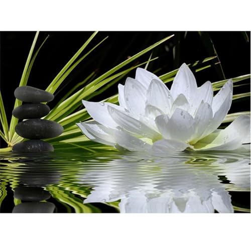Weißer Lotus - Puzzles für Erwachsene,Puzzle 300 Teile, Puzzle 40x28 cm DIY - Puzzles für Heimdekoration, Familienpuzzle für Erwachsene und Kinder von Cekog