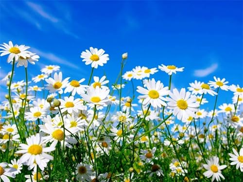 Weißes Gänseblümchen - Puzzles für Erwachsene,Puzzle 120 Teile, Puzzle 25x20 cm DIY - Puzzles für Heimdekoration, Familienpuzzle für Erwachsene und Kinder von Cekog