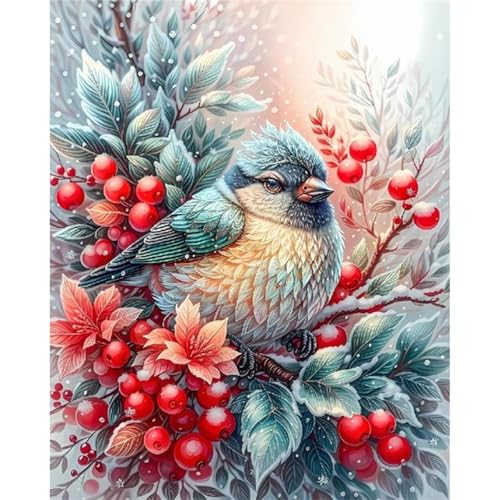 Wintervögel Obst - Puzzles für Erwachsene,Puzzle 700 Teile, Puzzle 38x52 cm DIY - Puzzles für Heimdekoration, Familienpuzzle für Erwachsene und Kinder von Cekog