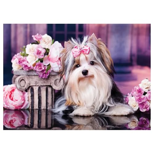Yorkshire Terrier - Puzzles für Erwachsene,Puzzle 300 Teile, Puzzle 40x28 cm DIY - Puzzles für Heimdekoration, Familienpuzzle für Erwachsene und Kinder Yorkshire Terrier - Puzzles für Erwachsene,Puzzle 300 Teile, Puzzle 40x28 cm DIY - Puzzles für Heimdekoration, Familienpuzzle für Erwachsene und Kinder von Cekog