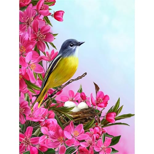 Zweig Spatz Blumen - Puzzles für Erwachsene,Puzzle 500 Teile, Puzzle 38x52 cm DIY - Puzzles für Heimdekoration, Familienpuzzle für Erwachsene und Kinder Zweig Spatz Blumen - Puzzles für Erwachsene,Puzzle 500 Teile, Puzzle 38x52 cm DIY - Puzzles für Heimdekoration, Familienpuzzle für Erwachsene und Kinder von Cekog