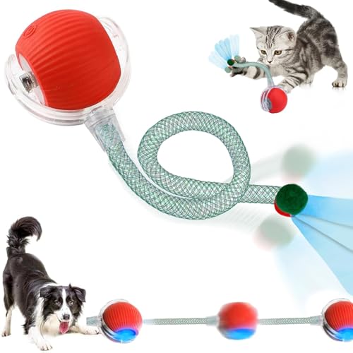 CelestiMingle Katzenballspielzeug, interaktiver rollender Hundeball, 360° intelligentes automatisches Haustierspielzeug, interaktives Katzenspielzeug gegen Langeweile und Unterhaltung (B) von CelestiMingle