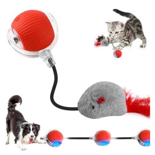 Interaktiver Rollball für Katzen und Hunde – 360° intelligentes automatisches Haustierspielzeug, per USB wiederaufladbarer elektrischer Ball, selbstbewegliches Hunde- und Katzenspielzeug (C) von CelestiMingle