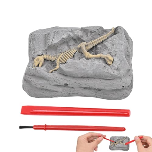 Celuicion Dinosaurier -Ausgrabungs -Kit, Dinosaurier -Ausgrabungs -Ausgrabungs -Kit | Dinosaurier -Fossilien für Kinder,STEM Educational Science Archaeology Activity Set mit sensorischen von Celuicion