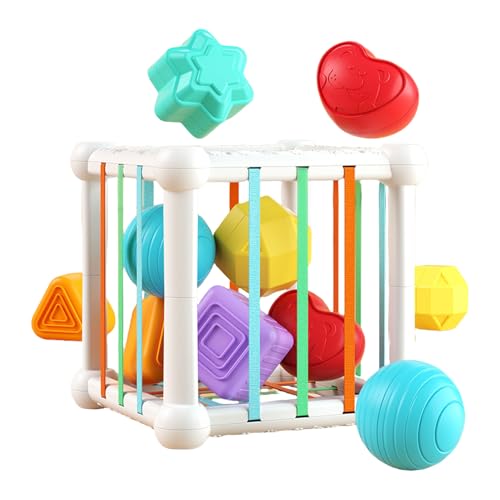 Celuicion Form Sortierer, Babyform Sorter Toy - Sensorisches Blöcke Spiel - Frühe Lernentwicklungsblockade für die Verbesserung der Feinmotorik für Kinder 1-3 von Celuicion