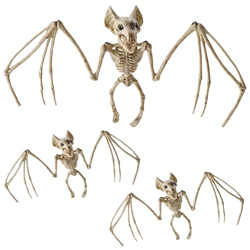 Cepewa Fledermausskelett zum Aufhängen 3er Set | Kunststoff 30x16x6cm | Halloween Tierskelett Gruselparty Cepewa Fledermausskelett zum Aufhängen 3er Set | Kunststoff 30x16x6cm | Halloween Tierskelett Gruselparty von Cepewa