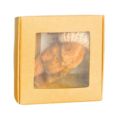 Gefülltes Bären-Geschenk, Plüsch-Spielzeug in Box mit inspirierender Nachrichtenkarte, weicher Plüschtier für Mädchen, , süßer Komfortbär für Bett, Auto, Dekoration, Positivity Present Gefülltes Bären-Geschenk, Plüsch-Spielzeug in Box mit inspirierender Nachrichtenkarte, weicher Plüschtier für Mädchen, , süßer Komfortbär für Bett, Auto, Dekoration, Positivity Present von Ceprznvey