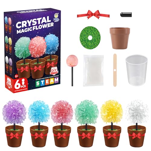 Kristalle Züchten,Set zum Züchten von 6 Kristallen,Kristalle Wachsen Schnell in 72 Stunden,Lern- und Bildungsspielzeug,Kunst und Kunsthandwerk für Kinder im Alter von 6–12 Jahren Kristalle Züchten,Set zum Züchten von 6 Kristallen,Kristalle Wachsen Schnell in 72 Stunden,Lern- und Bildungsspielzeug,Kunst und Kunsthandwerk für Kinder im Alter von 6–12 Jahren von ChaneeHann