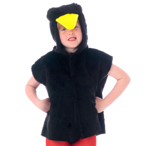 Charlie Crow Schwarz Vogel Kostüm für Kinder - Einheitsgröße 3-8 Jahre. von Charlie Crow