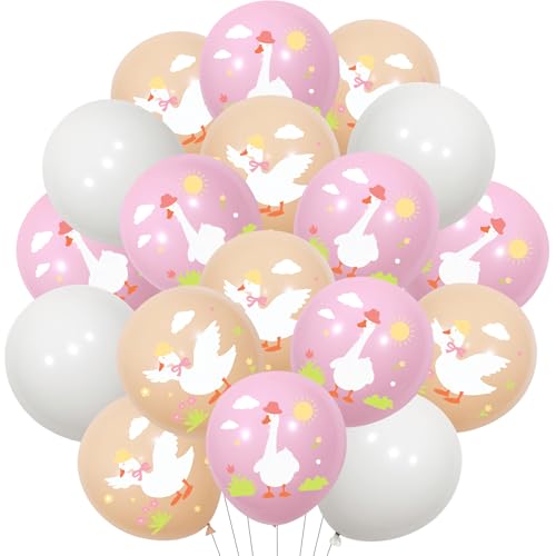 Cheereveal 45PCS Gans Ballons Dekorationen für Mädchen, Rosa Silly Goose Tisch Mittelstück Ballons, Farm Tier Thema Baby Shower Geburtstagsfeier Dekorationen Lieferungen Cheereveal 45PCS Gans Ballons Dekorationen für Mädchen, Rosa Silly Goose Tisch Mittelstück Ballons, Farm Tier Thema Baby Shower Geburtstagsfeier Dekorationen Lieferungen von Cheereveal