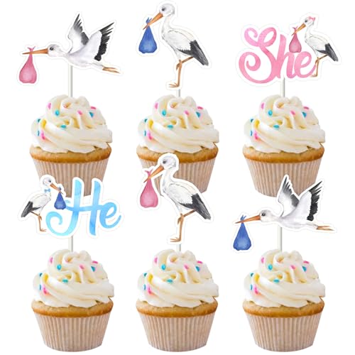 Cheereveal Storch Cupcake Topper - Storch Thema Geschlecht enthüllen Kuchen Cupcake Picks Dekorationen, Jungen Mädchen Baby Shower Geburtstagsfeier Zubehör von Cheereveal