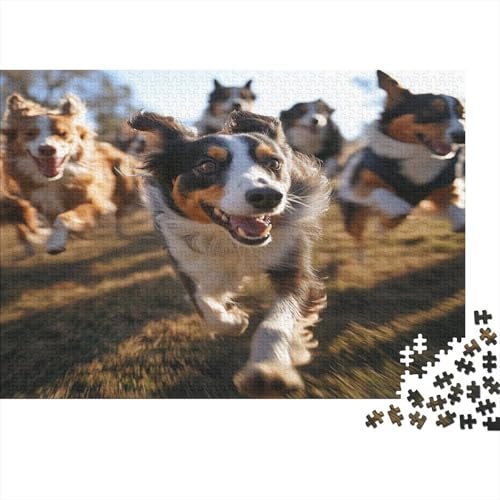 1000 Stück Holzstück Herausforderung Spielzeug|Border Collie Ideal Zur Entspannung Unmögliches Puzzle Kunstwerk Erwachsene Fesselnd 1000pcs (75x50cm) von ChengzeTCo