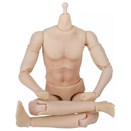 Chenxi Studio Premium-Sammelfigur im Maßstab 1:12 mit detaillierter Muskelskulptur und um 360 Grad beweglichen Gelenken für Regal-Display, realistische Muskel-Actionfigur Chenxi Studio Premium-Sammelfigur im Maßstab 1:12 mit detaillierter Muskelskulptur und um 360 Grad beweglichen Gelenken für Regal-Display, realistische Muskel-Actionfigur von Chenxi Studio