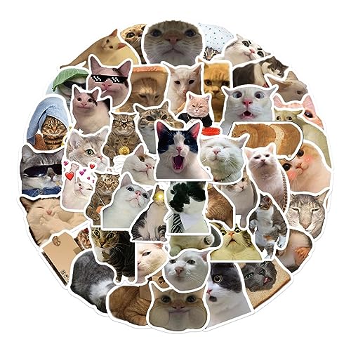 Chevnzev 50pcs Niedliche Katzen Animalaufkleber wasserdichte PVC Aufkleber Für Laptop Skateboard Wasserflaschen Telefon Geschenk Für Kinder von Chevnzev