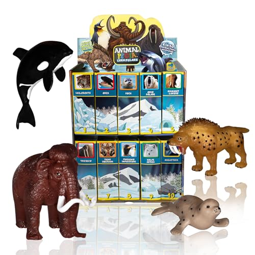 Chimpanzee Animalpedia The Polar Time – 4er-Pack Tiere – Sammelspiele für Kinder – Lernspiele – Enzyklopädie der Tiere – Weiches TPR-Spielzeug D (Mammut – Orca – Robbe – Smilodon) von Chimpanzee