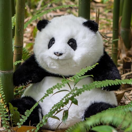 Chongker Panda Stofftiere Plüschtiere mit Gewichten 4.6 LB, handgefertigte realistische sitzende Pandabär Plüschtiere, lebensechte Plüsch Panda Sammlerstücke von Chongker