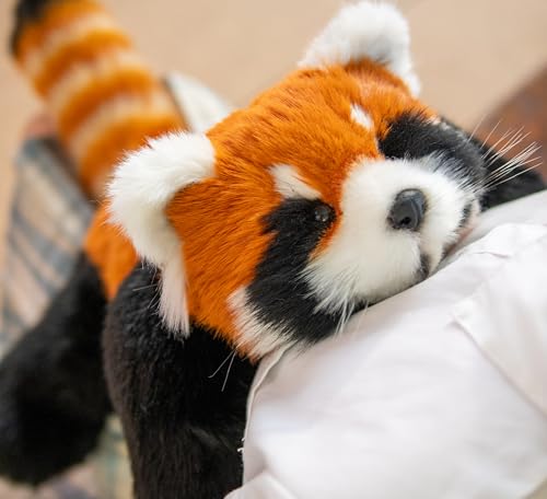 Chongker Plüschtier Kleiner Panda Plüsch handgefertigt realistisches Spielzeug Katze Niedlicher Plüsch Kleiner Panda Begleiter Haustier Kindergeschenk Damen Geburtstag （Kleiner Panda ） von Chongker