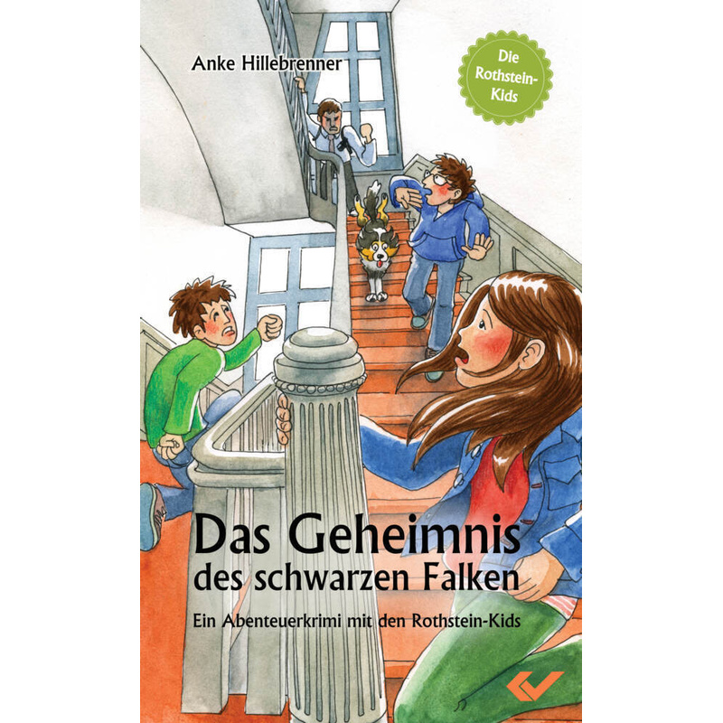 Die Rothstein-Kids - Das Geheimnis des schwarzen Falken von Christliche Verlagsges. Dillenburg