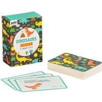 Dinosaurs Trivia Cards Dinosaurs Trivia Cards von Chronicle Books